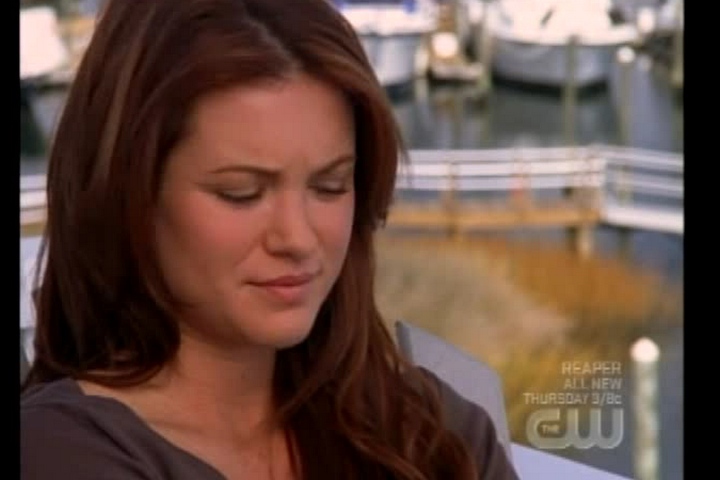 из одного холма дерева