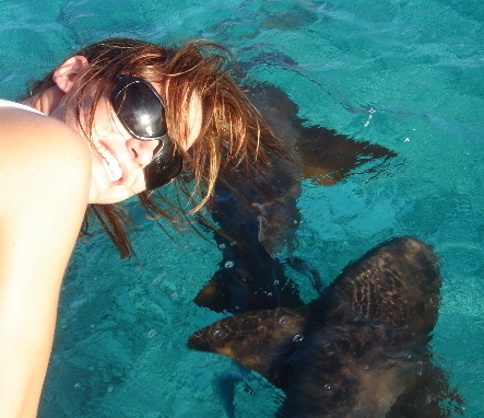 с дельфином