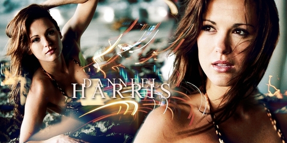 DANNEEL IN BICH